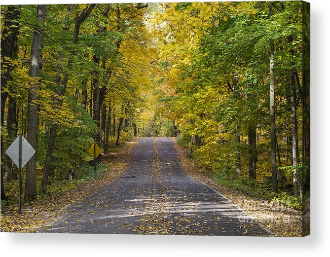 Arboretum Acrylic Print featuring the photograph Arboretum fall - Madison - Wisconsin by Steven Ralser