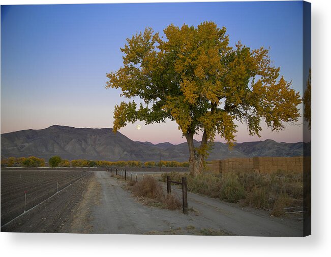  Acrylic Print featuring the photograph Autumn Moonset #1 by Jim Snyder