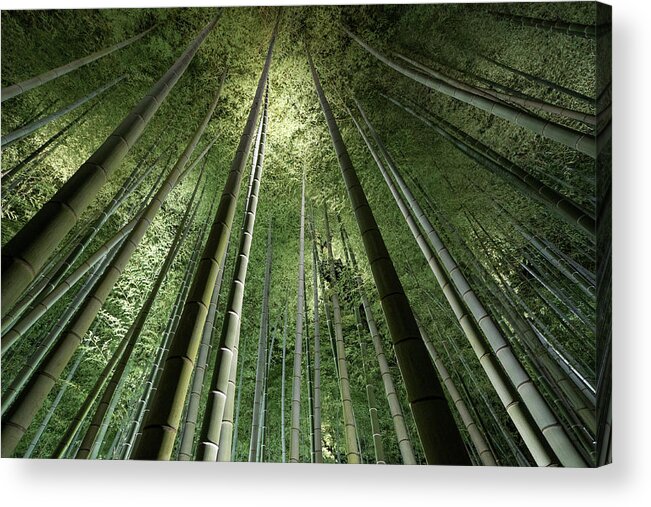 Bamboo Acrylic Print featuring the photograph Bamboo Night #1 by Takeshi Marumoto