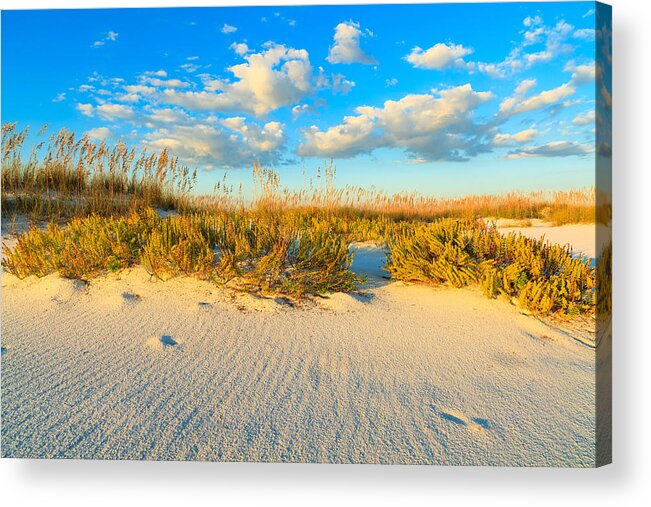 Florida Acrylic Print featuring the photograph Beautiful Beach #1 by Raul Rodriguez