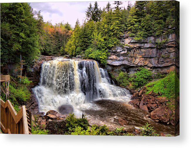 Blackwater Falls State Park Acrylic Print featuring the photograph Blackwater Falls SP #3 by Mary Almond