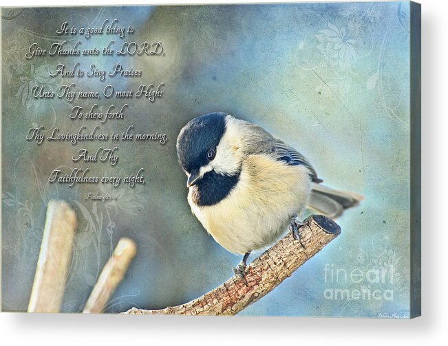 Nature Acrylic Print featuring the photograph Chickadee with verse #1 by Debbie Portwood