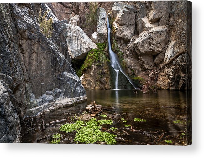 Water Acrylic Print featuring the photograph Darwin Falls #1 by Cat Connor