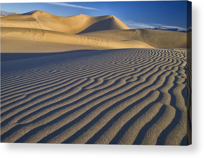 Sand Dunes Acrylic Print featuring the photograph Dune Walker by Jim Dollar