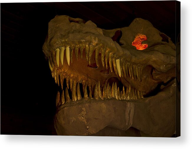 Grand Canyon Caverns Acrylic Print featuring the photograph Fire In His Eyes #1 by Kenan Sipilovic