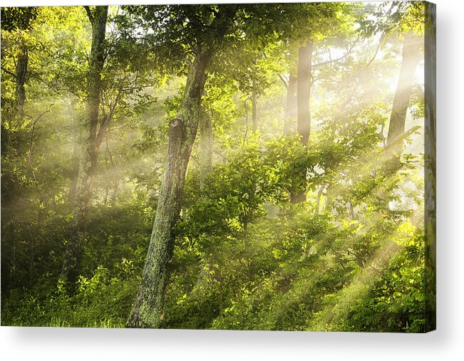 Light Acrylic Print featuring the photograph First Light by Andrew Soundarajan