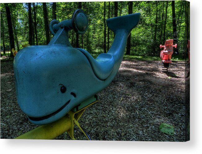 Whale Acrylic Print featuring the photograph Forgotten Playground #1 by David Dufresne