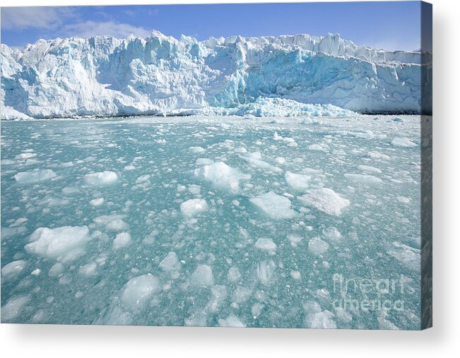 00345962 Acrylic Print featuring the photograph Fortuna Glacier Descending by Yva Momatiuk John Eastcott
