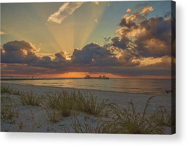 Beauty Acrylic Print featuring the photograph Glorious #1 by Brian Wright