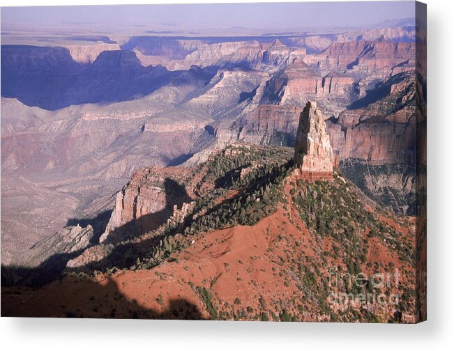 Grand Canyon Acrylic Print featuring the photograph Grand Canyon #1 by Mark Newman