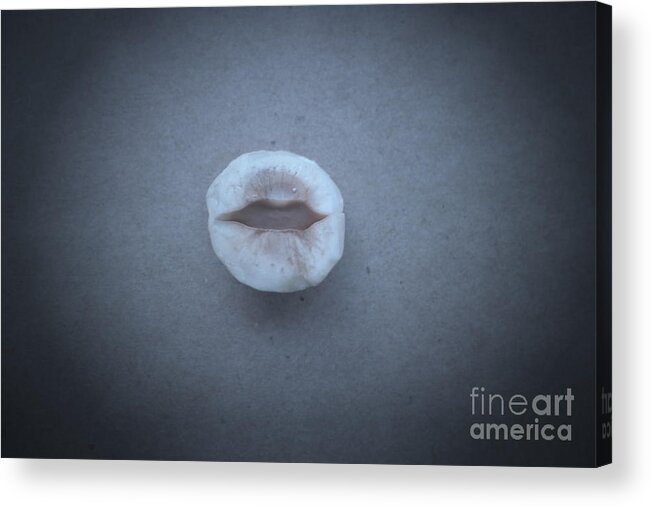Abstract Acrylic Print featuring the photograph Hazelnut Lips #3 by Nora Boghossian