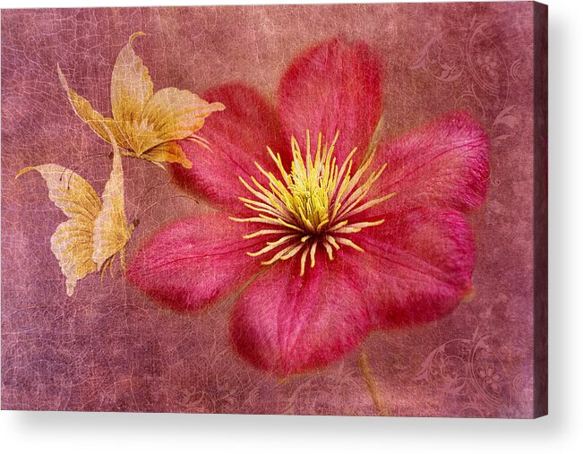 Pink Clematis Flower Acrylic Print featuring the photograph In Dance by Marina Kojukhova