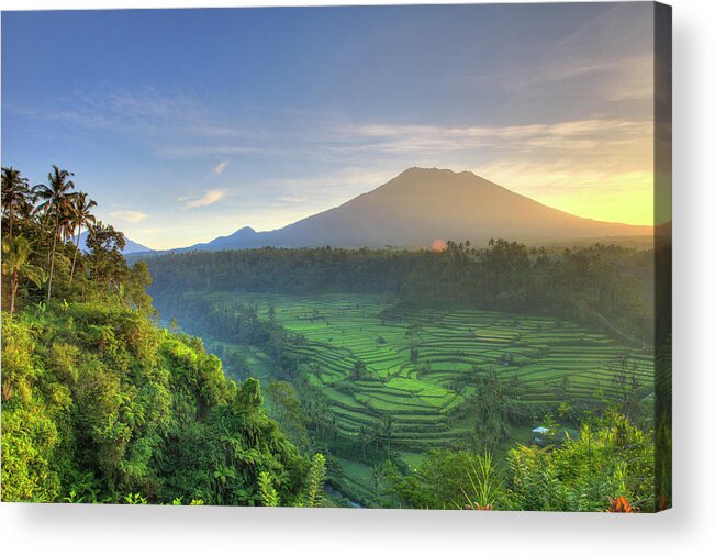 Scenics Acrylic Print featuring the photograph Indonesia, Bali, Rice Fields And Agung #1 by Michele Falzone