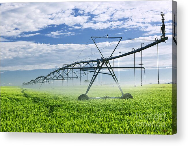 Irrigation Acrylic Print featuring the photograph Irrigation equipment on farm field 1 by Elena Elisseeva