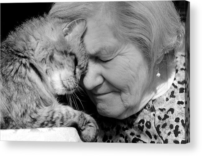 Woman And Cat Acrylic Print featuring the photograph Moment In TIme #2 by Fraida Gutovich