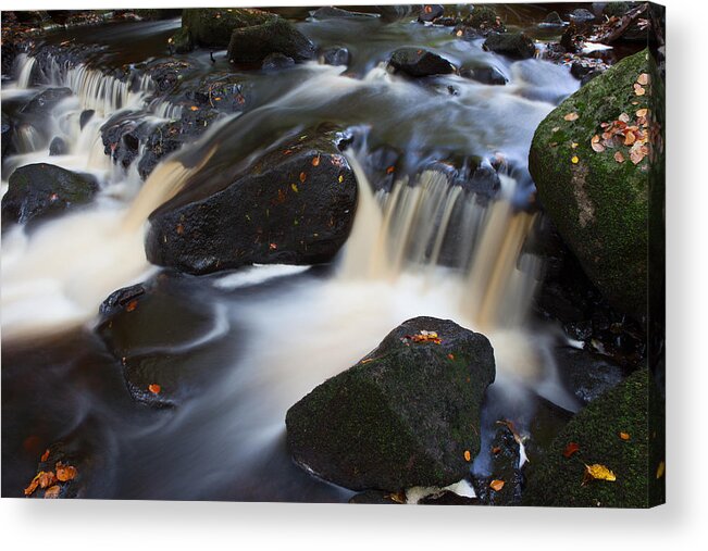 Padley Gorge Acrylic Print featuring the photograph Padley Gorge #1 by Nick Atkin