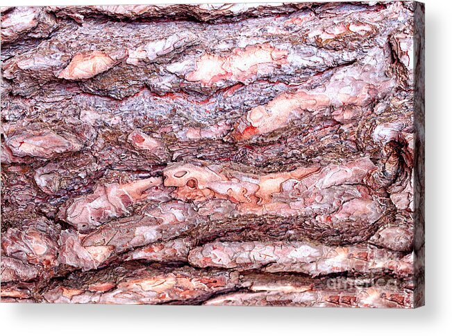 Pine Acrylic Print featuring the photograph Pine Bark Texture #1 by Les Palenik