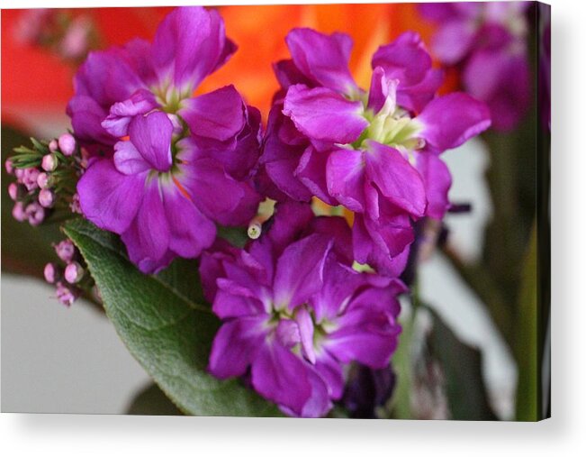Purple Flowers Acrylic Print featuring the photograph Purple Flowers #1 by Allan Morrison