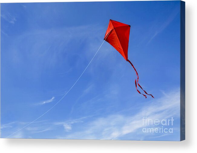 Breeze Acrylic Print featuring the photograph Red Kite in the Sky #2 by Diane Diederich