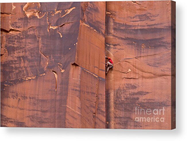00559218 Acrylic Print featuring the photograph Rock Climber Indian Creek Utah by Yva Momatiuk John Eastcott