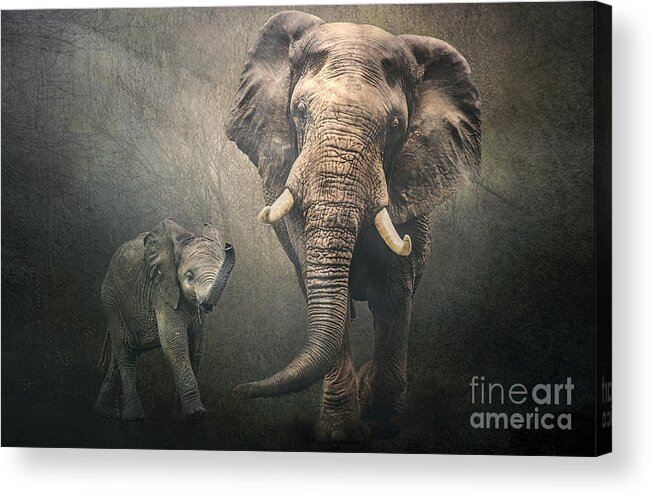 African Elephant Acrylic Print featuring the photograph Save The Elephants by Brian Tarr