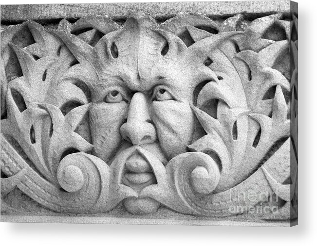 Vintage Acrylic Print featuring the photograph Stone Face II by Sarah Schroder