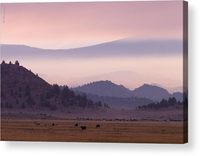 Sunset Acrylic Print featuring the photograph Sunset #1 by Alexander Fedin
