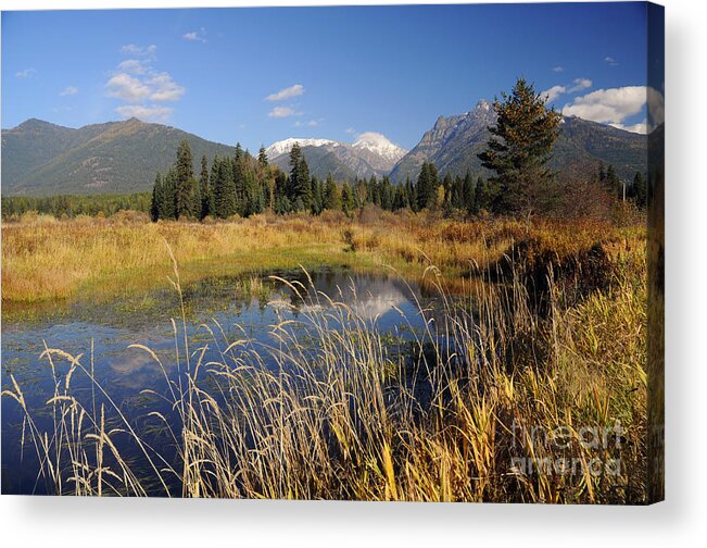 The Cabinet Mountains Acrylic Print featuring the photograph 1123A The Cabinet Mountains by Cindy Murphy - NightVisions 