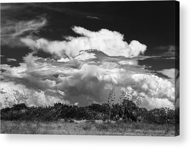 Florida Sunset Acrylic Print featuring the photograph This is What I See #1 by Marvin Spates