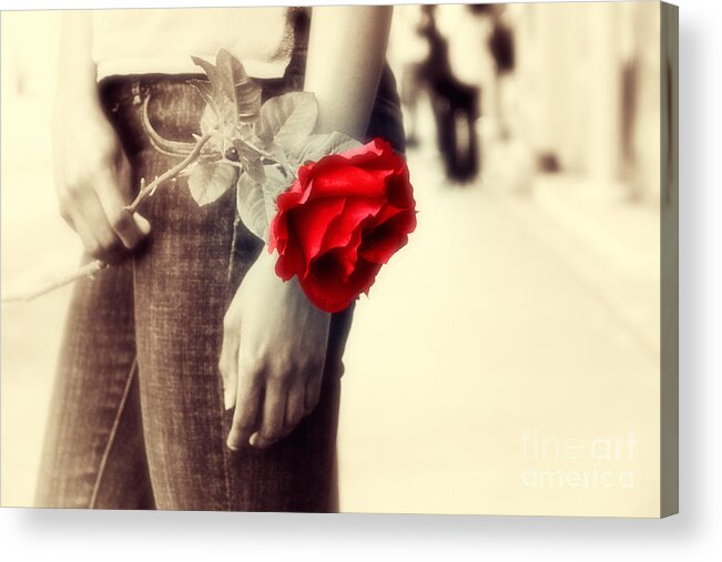 Woman Acrylic Print featuring the photograph Timeless Rose #1 by Charline Xia
