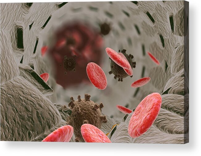 Artery Acrylic Print featuring the photograph Viral Infection, Illustration #1 by Ella Marus Studio