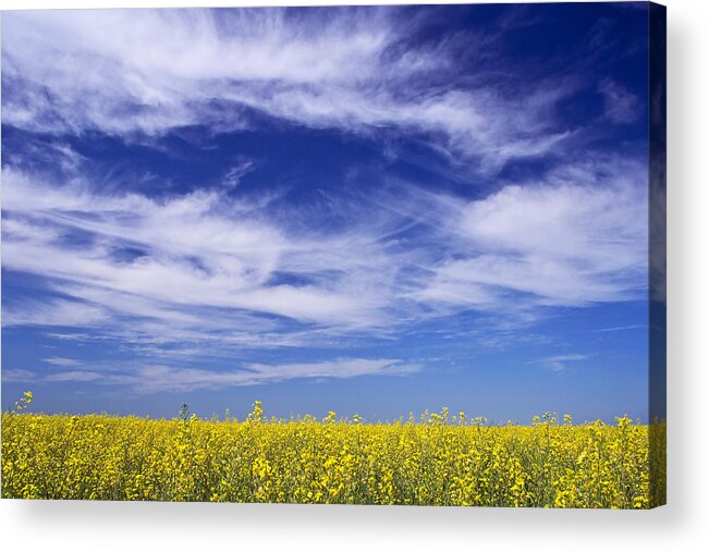 Landscape Acrylic Print featuring the photograph Where Land Meets Sky by Keith Armstrong