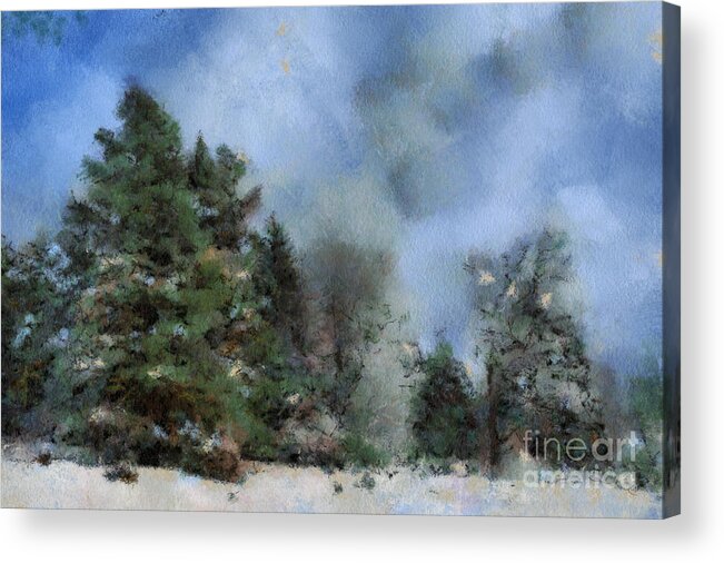 Winter Acrylic Print featuring the digital art Wintery Landscape #1 by Gina Koch