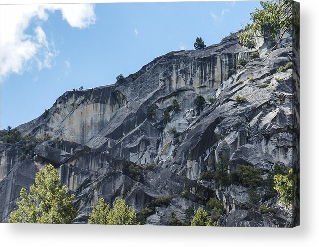 Yosemite Acrylic Print featuring the photograph Yosemite by Weir Here And There