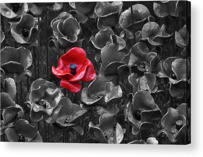 Tower Of London Poppies Acrylic Print featuring the photograph Tower of London Poppies #11 by Chris Day