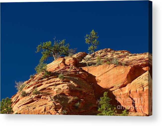 Zion Acrylic Print featuring the photograph Zion #10 by Marc Bittan
