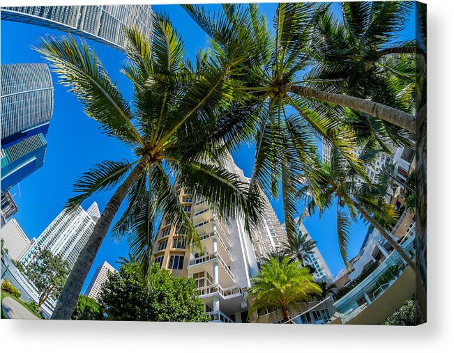 Architecture Acrylic Print featuring the photograph Downtown Miami #11 by Raul Rodriguez