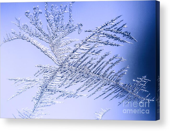 Frost Acrylic Print featuring the photograph Frost on a Windowpane #14 by Thomas R Fletcher