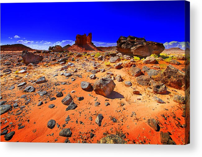 Landscape Acrylic Print featuring the photograph Monument Valley USA #6 by Richard Wiggins