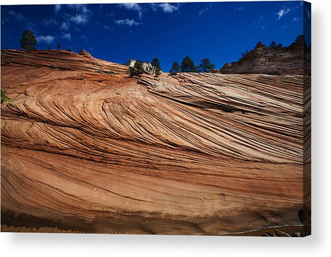 Landscape Acrylic Print featuring the photograph Zion National Park Utah USA #3 by Richard Wiggins