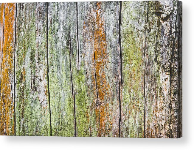 Abstact Acrylic Print featuring the photograph Wood background #17 by Tom Gowanlock