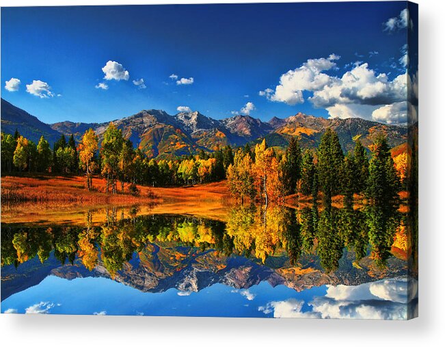 Landscape Acrylic Print featuring the photograph Fall Colors by Mark Smith