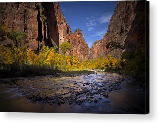 Zion Acrylic Print featuring the photograph Along the River #2 by Dominique Dubied