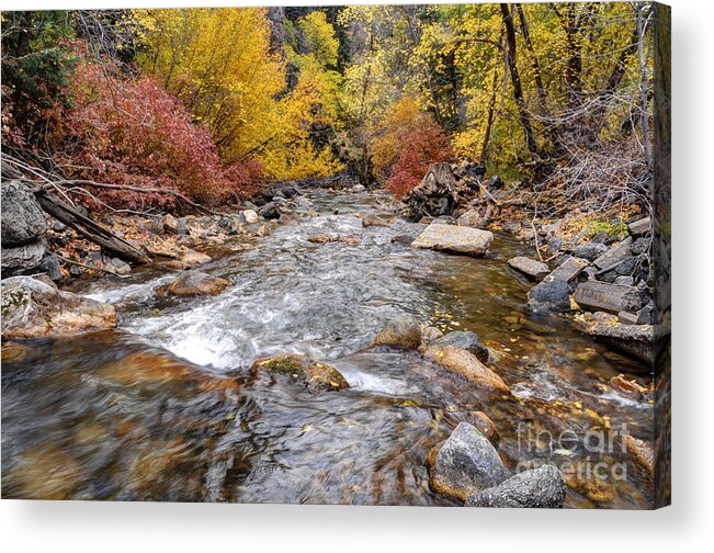 American Acrylic Print featuring the photograph American Fork Canyon Creek in Autumn - Utah #3 by Gary Whitton