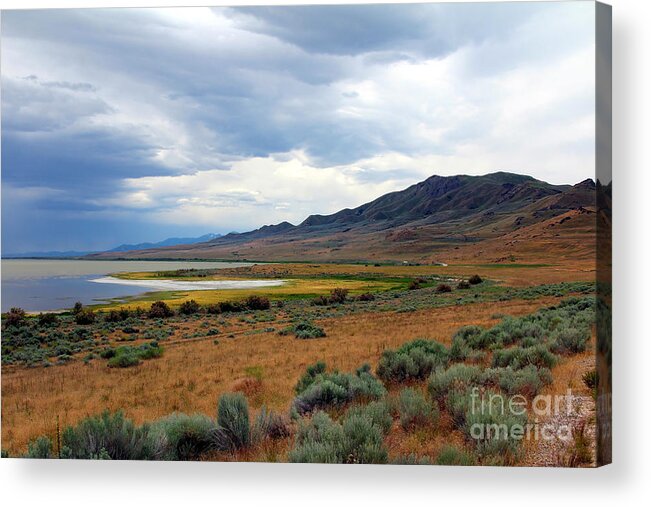 Landscape Acrylic Print featuring the photograph Antelope Island by Jemmy Archer