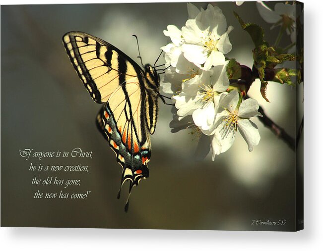 2 Corinthians 5:17 Acrylic Print featuring the photograph 2 Corinthians 5 17 by Emanuel Tanjala