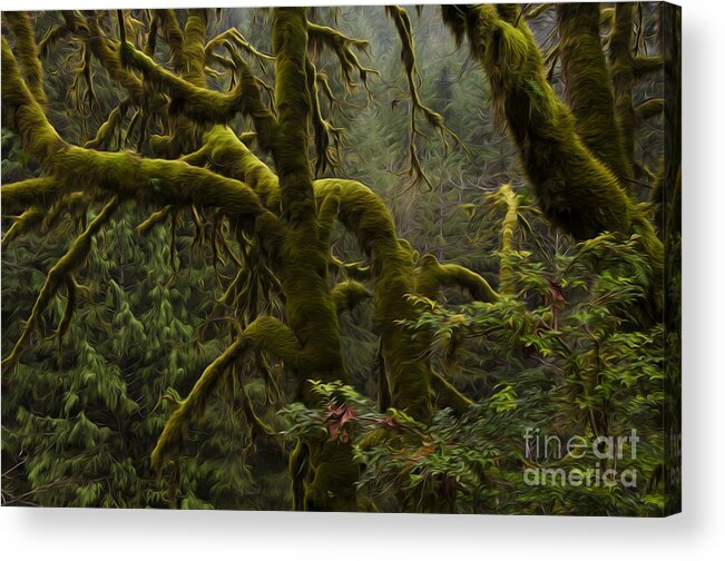 Oregon Acrylic Print featuring the photograph Enchanted Spaces Edge Of The Forest Oregon 2 by Bob Christopher