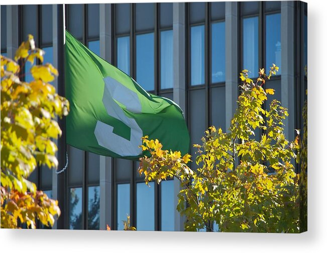 Fall Acrylic Print featuring the photograph Flag #2 by Joseph Yarbrough