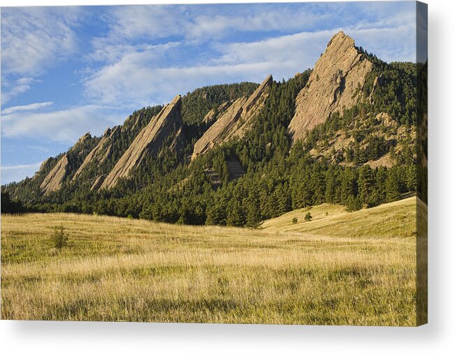 'boulder Photos' Acrylic Print featuring the photograph Flatirons with Golden Grass Boulder Colorado by James BO Insogna