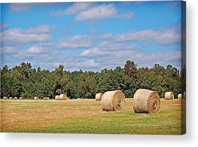 Hay Acrylic Print featuring the photograph Hay Field #2 by Linda Brown